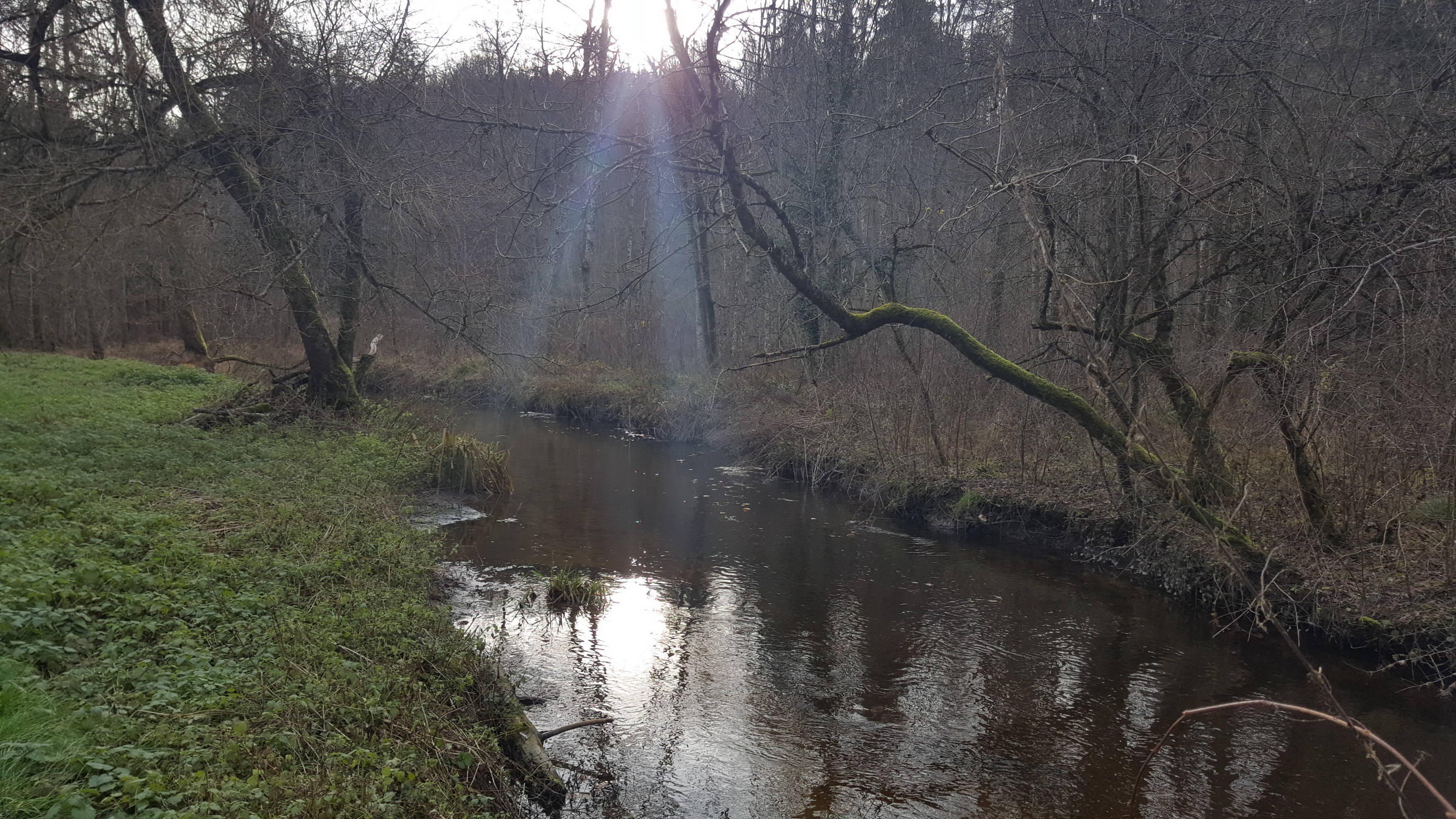 20191208034_B_Kanal