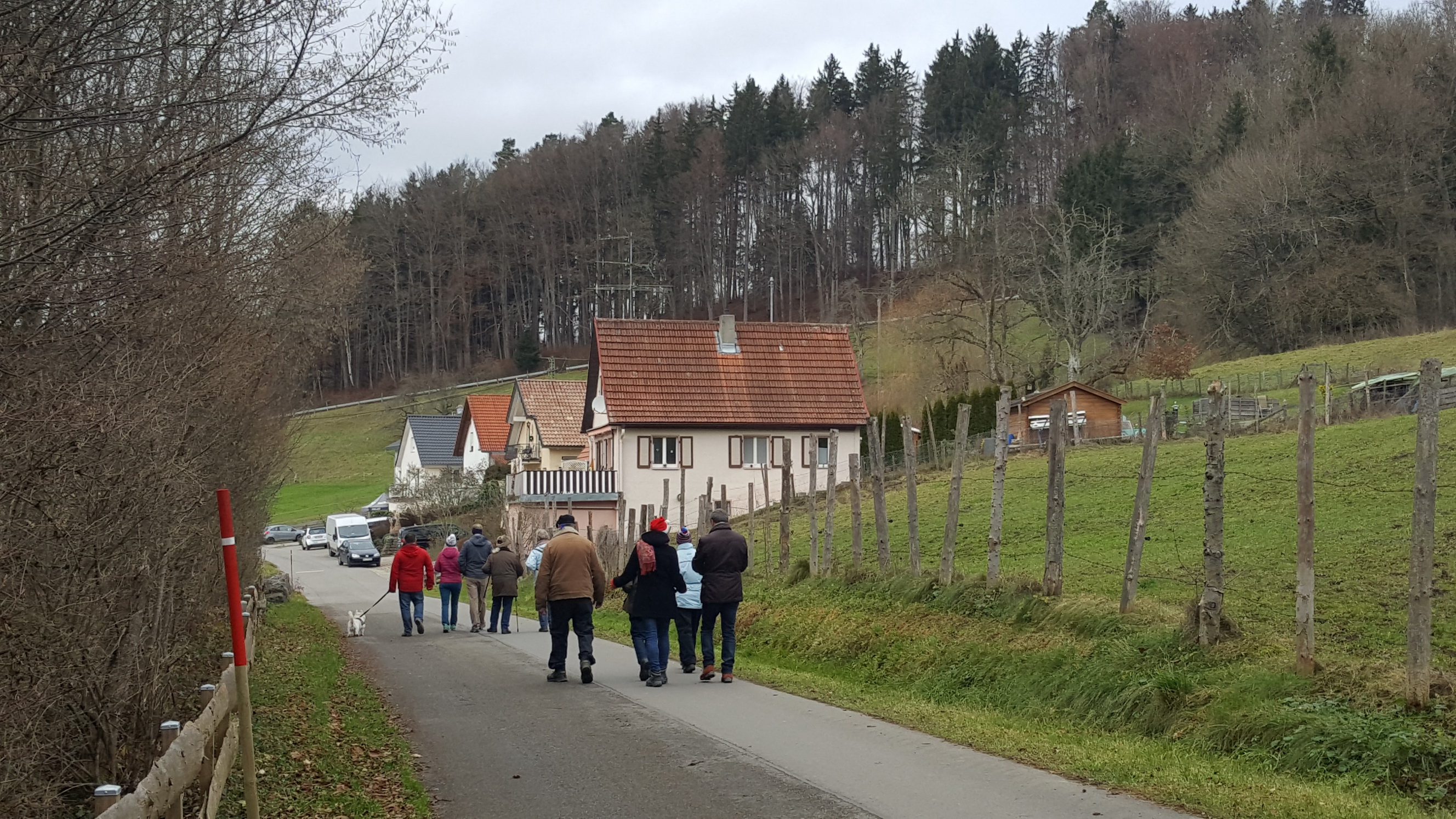 20191208052_B_Bolanden