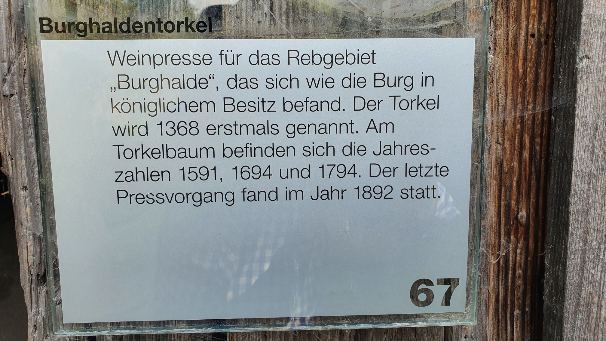 20200726051_Besch_Burghaldentorkel