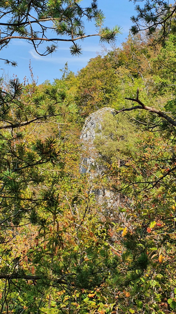 200920037_B_