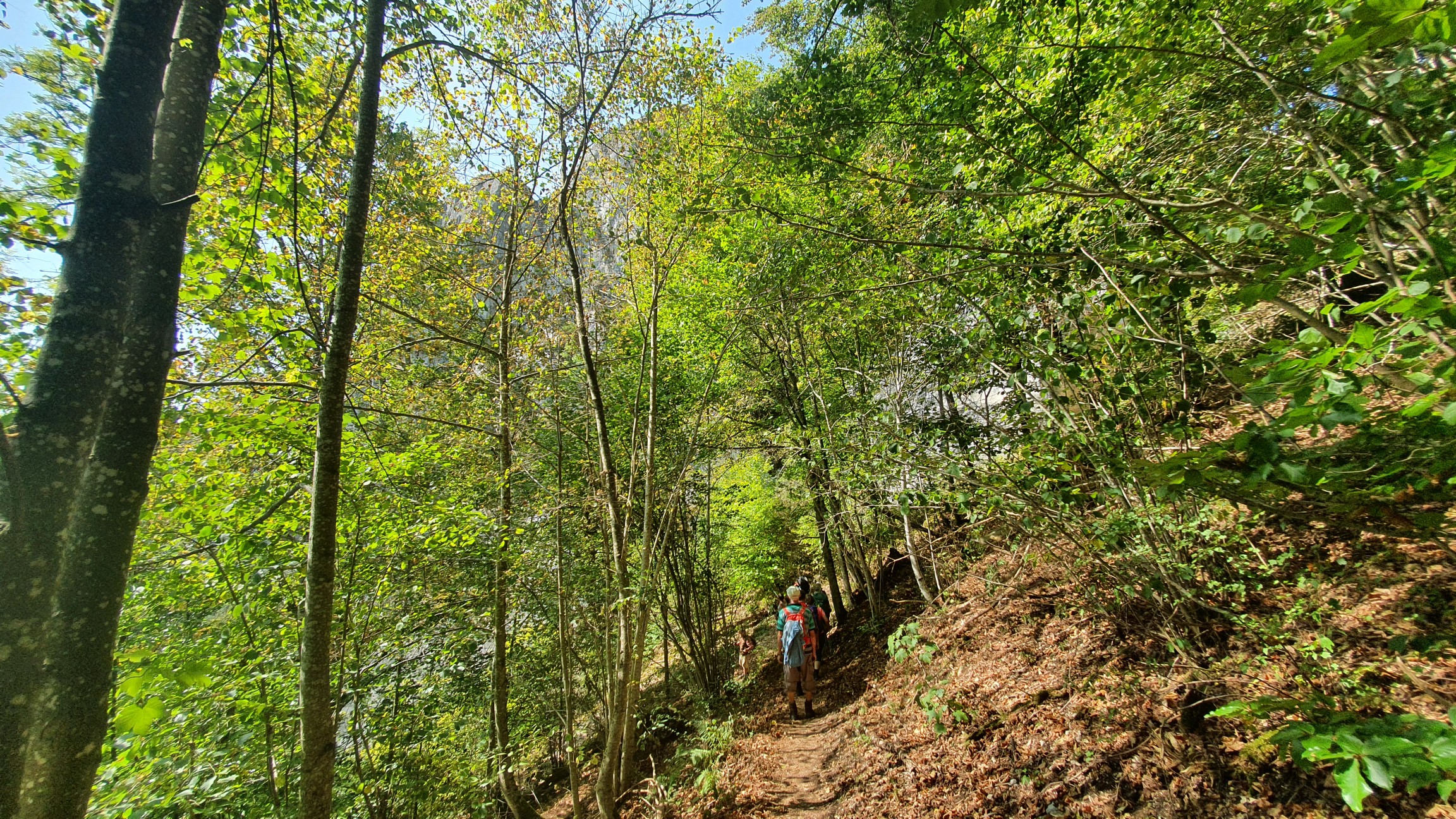 200920041_B_