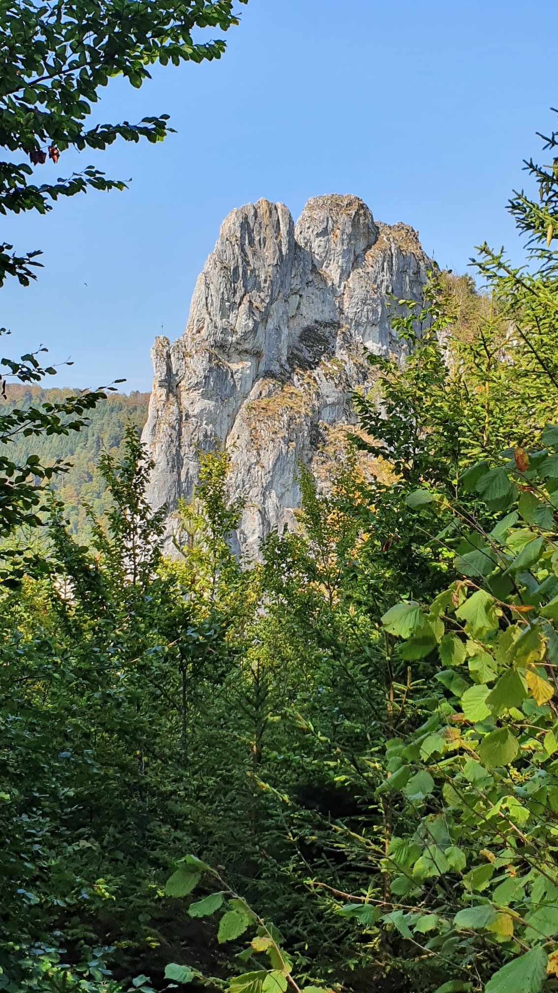 200920047_B_