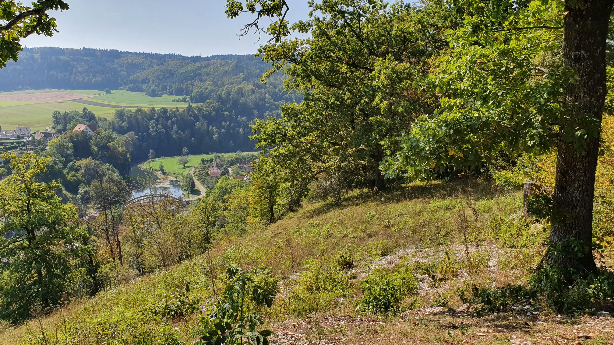 200920056_B_