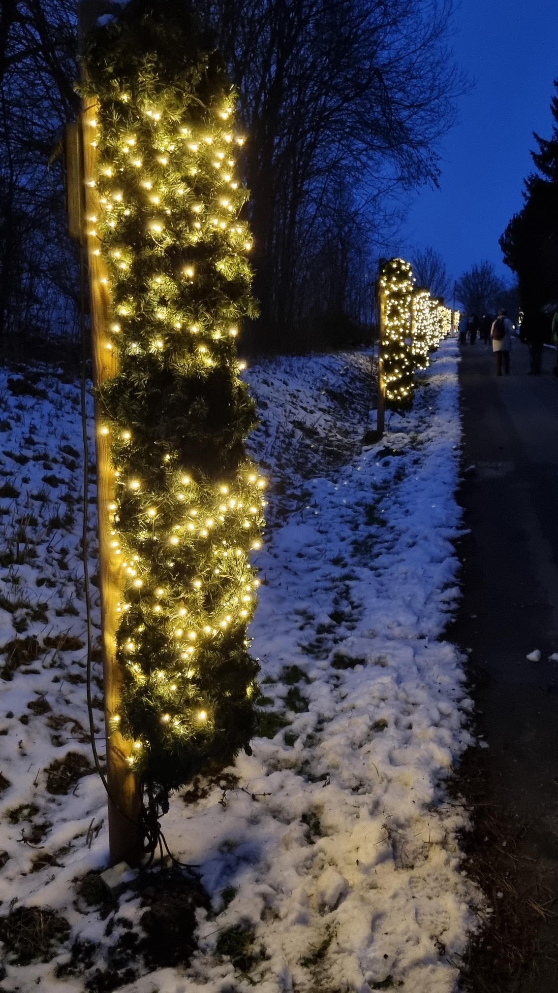 230129005_B_