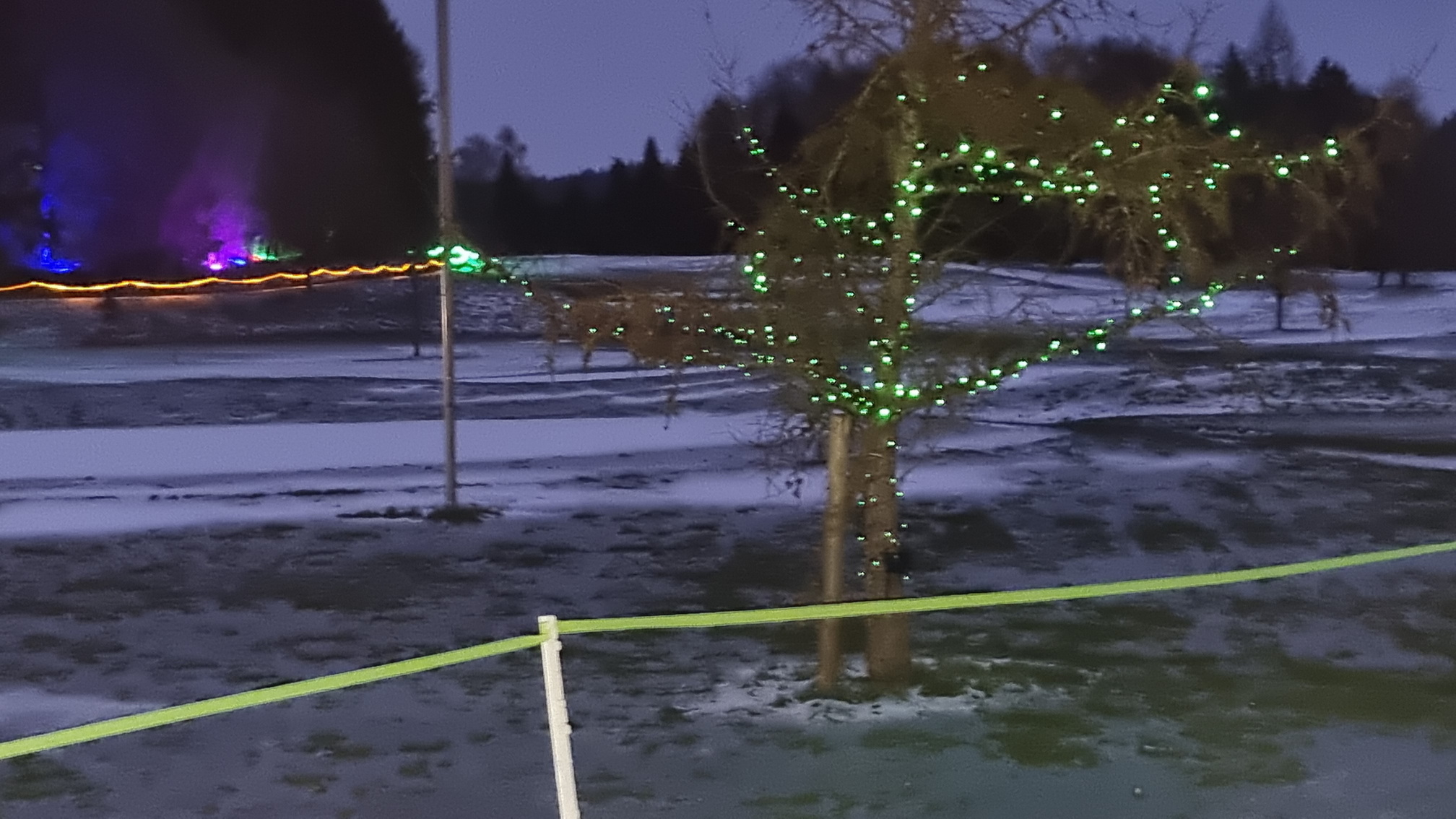 230129006_B_