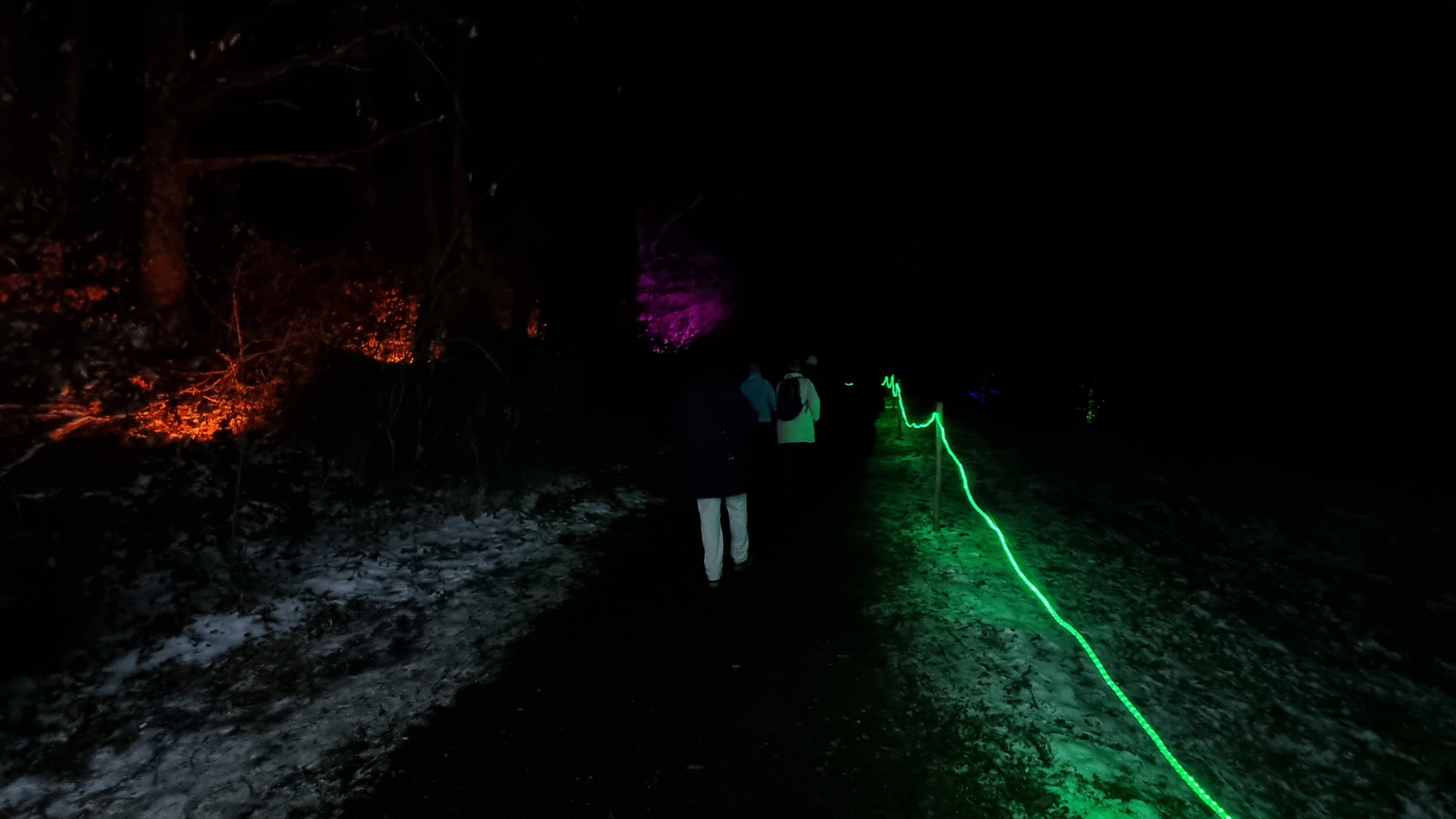230129011_B_