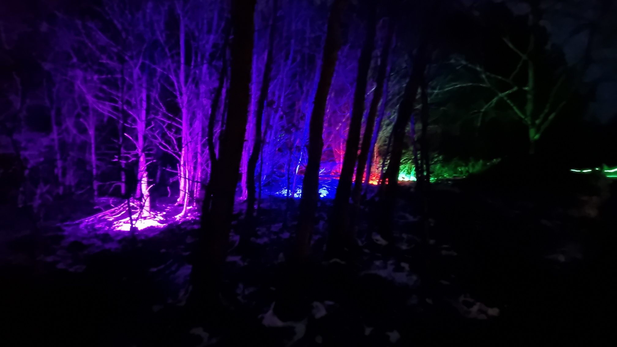 230129012_B_Winterleuchten-Golfplatz-Bad-Waldsee