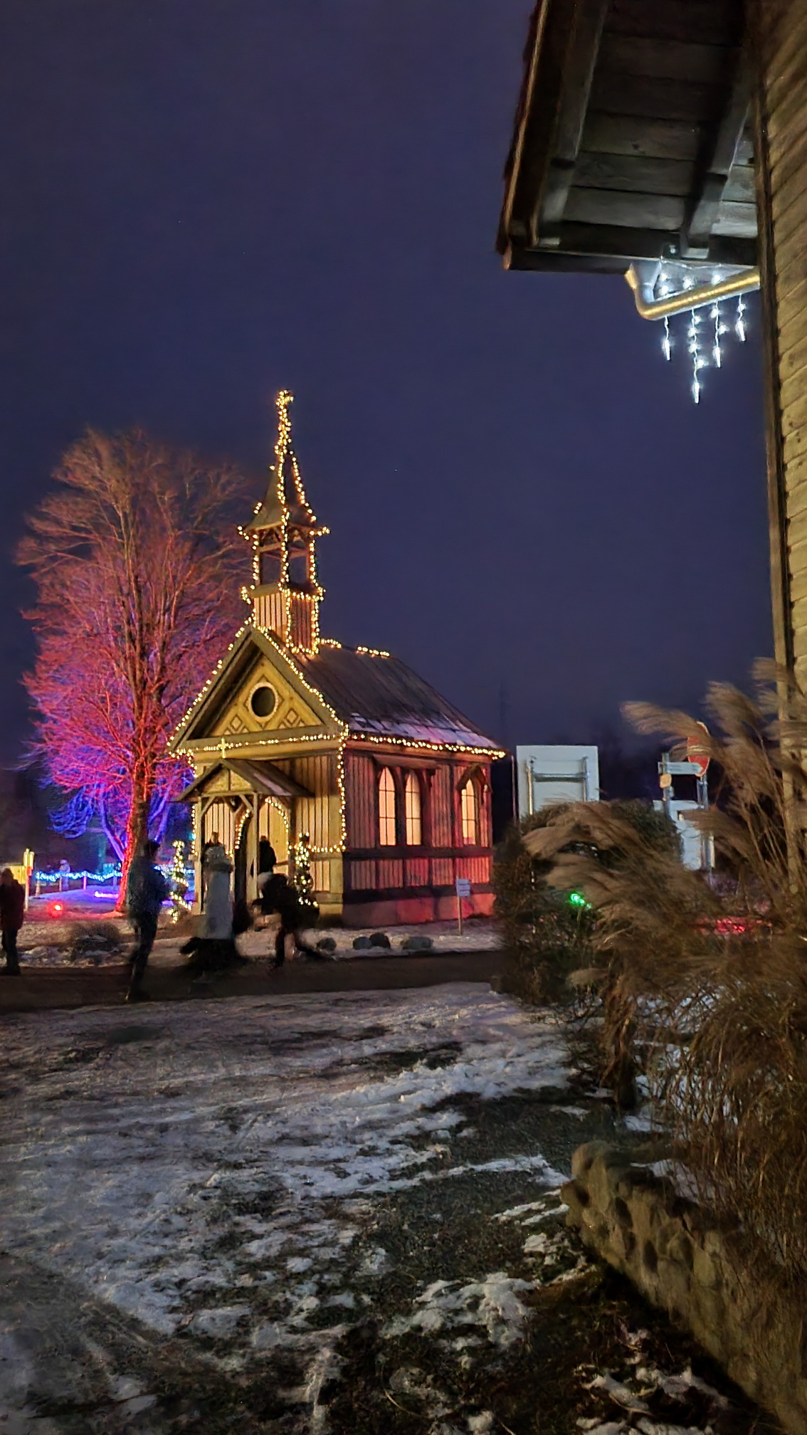 230129018_B_