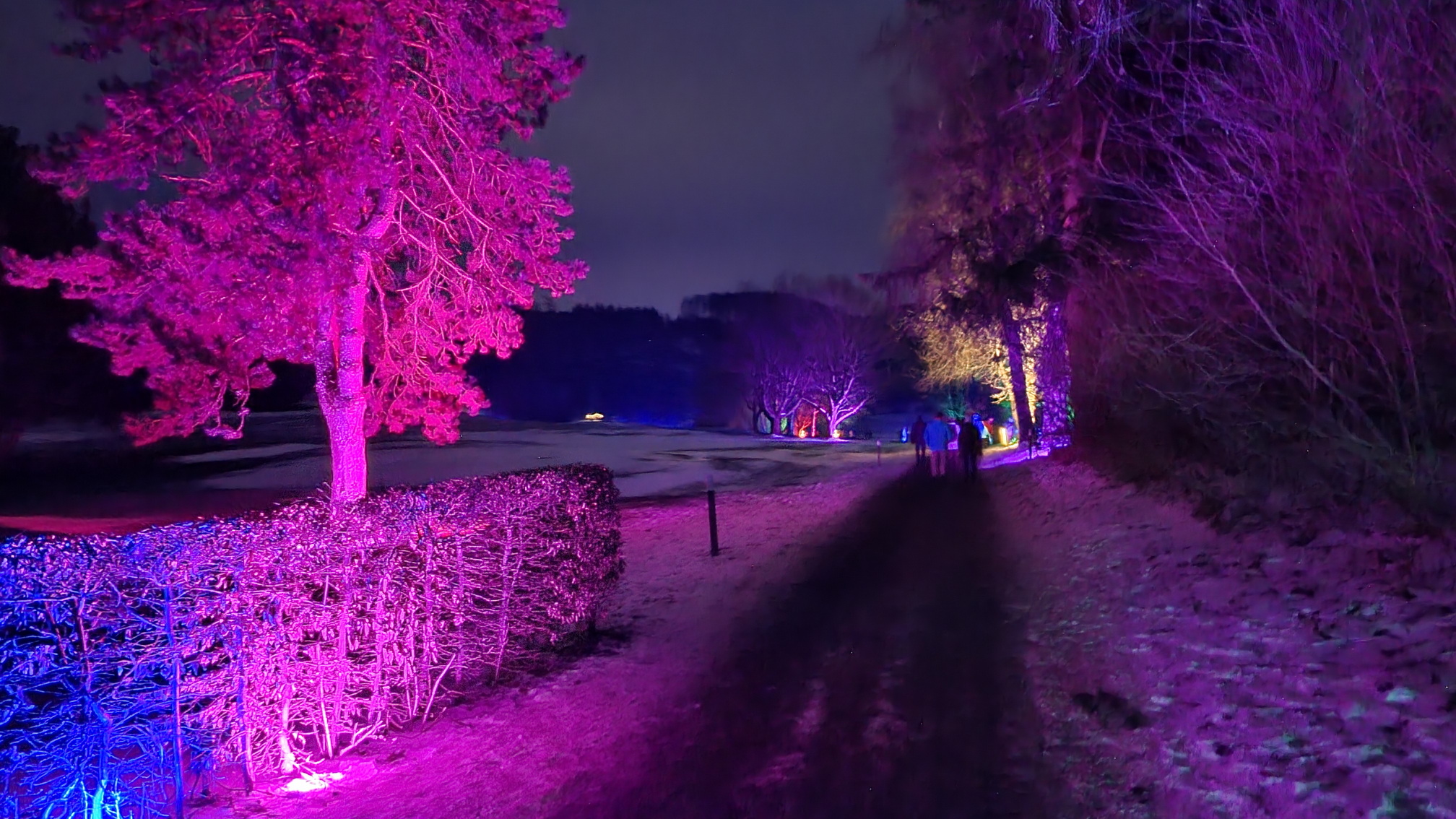 230129023_B_Winterleuchten-Golfplatz-Bad-Waldsee