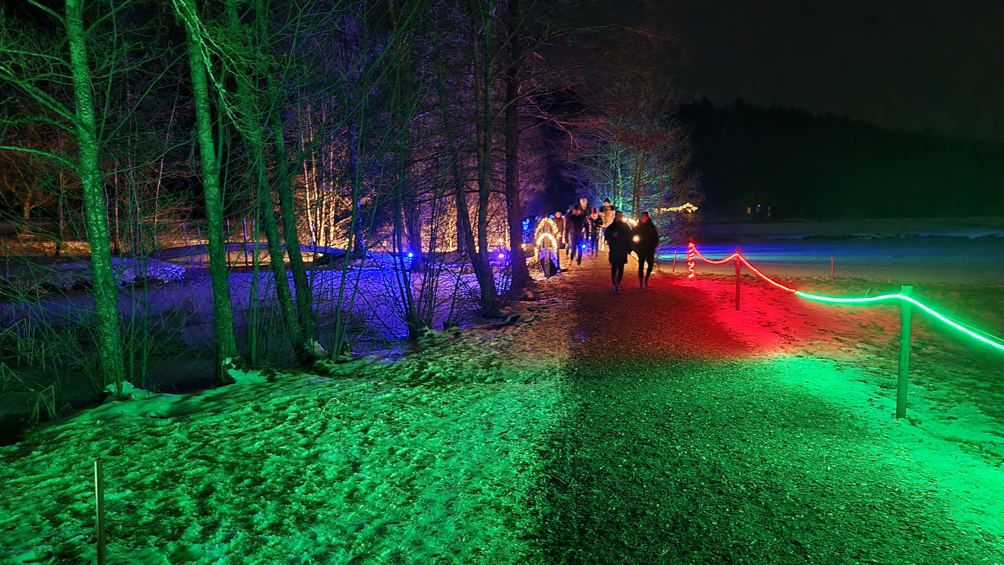 230129029_B_Winterleuchten-Golfplatz-Bad-Waldsee