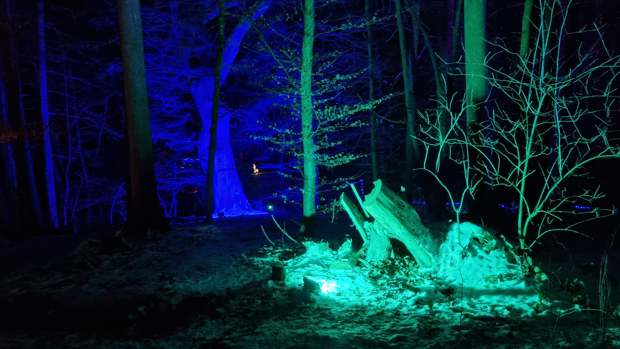 230129033_B_