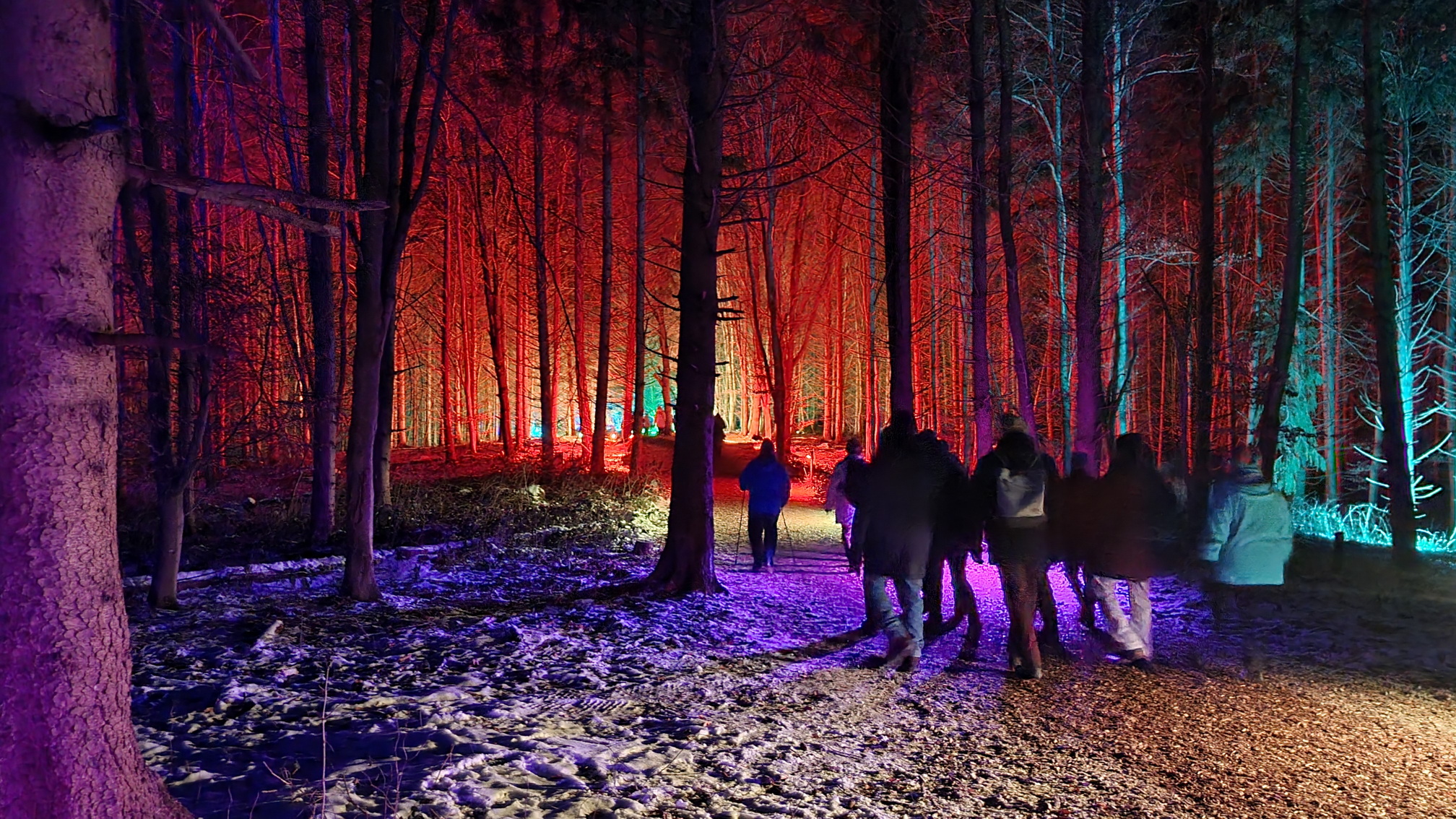 230129035_B_