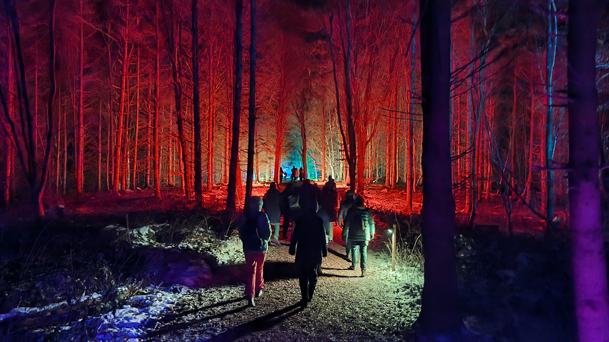 230129036_B_Winterleuchten-Golfplatz-Bad-Waldsee