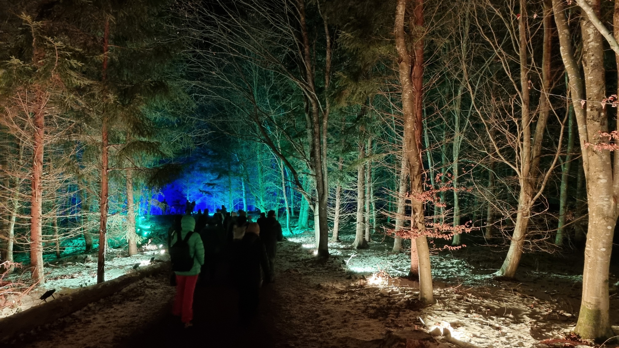 230129038_B_Winterleuchten-Golfplatz-Bad-Waldsee