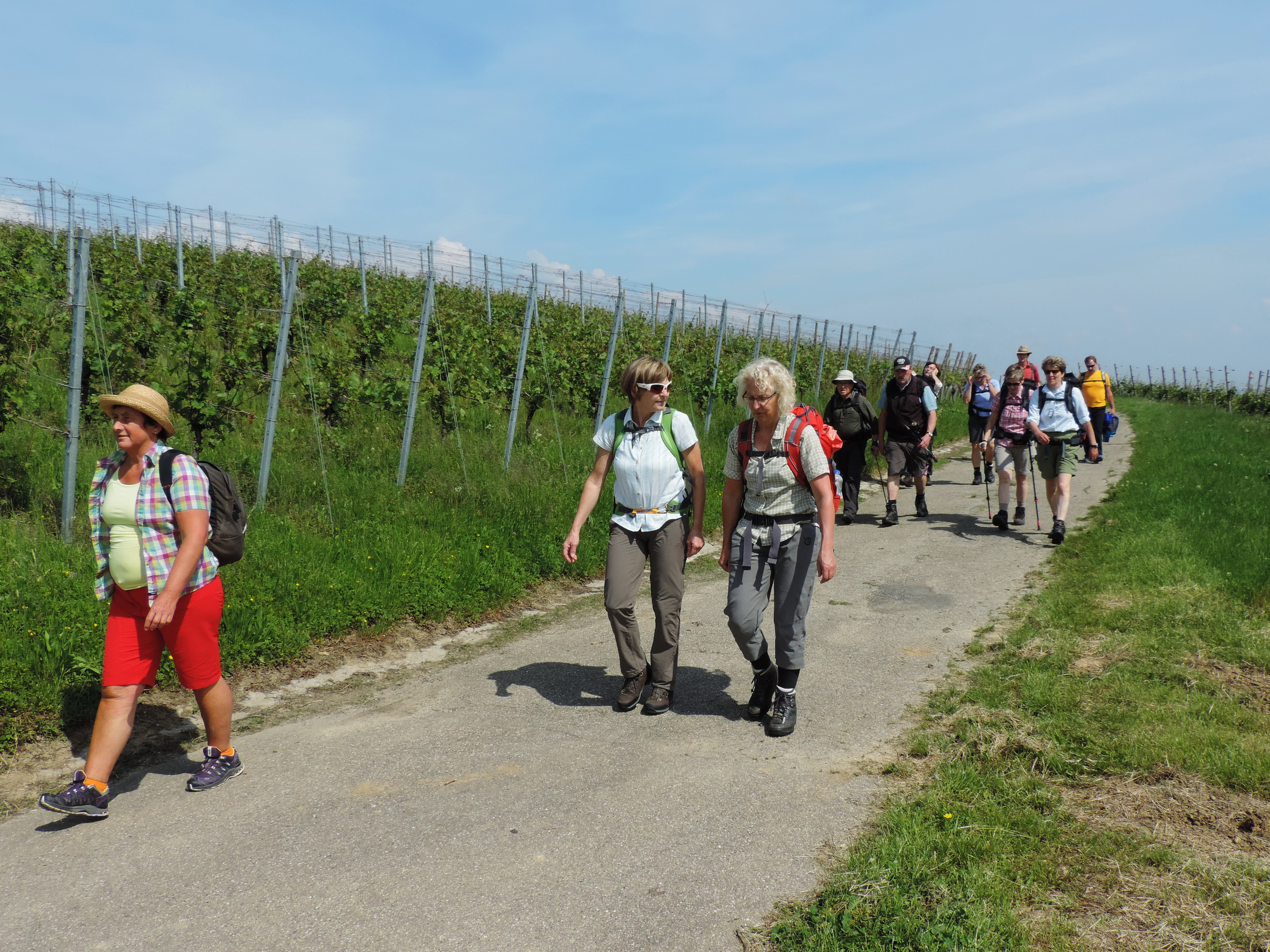 170525037_B_zum Batzenberg