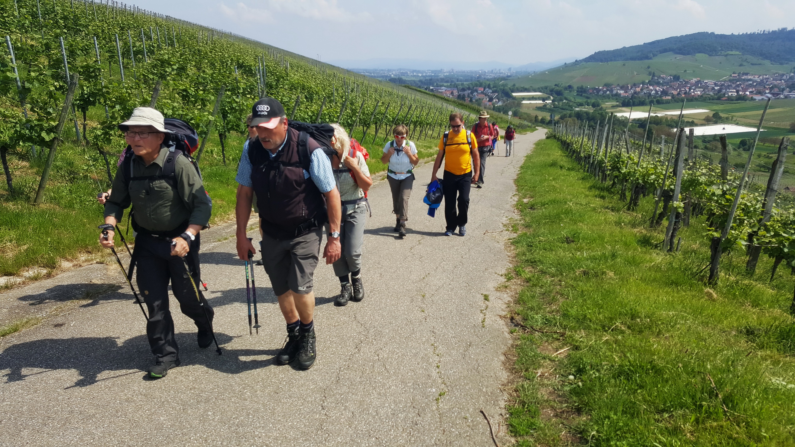 170525037_Dorf Ebringen_