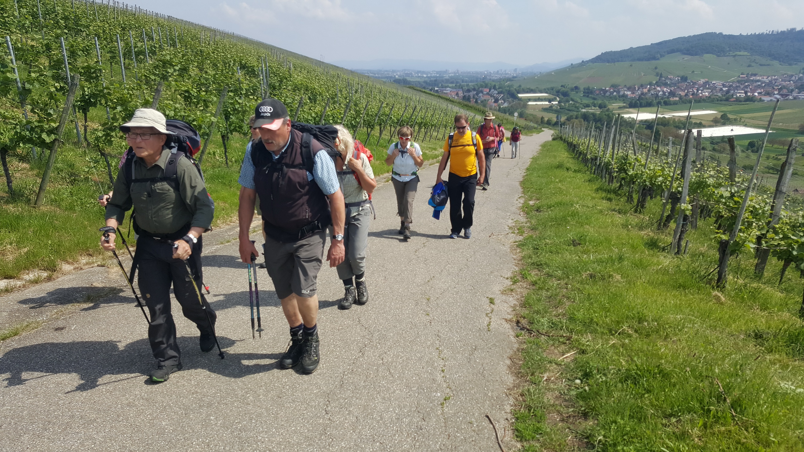 170525063_B_Durch die Weinberge