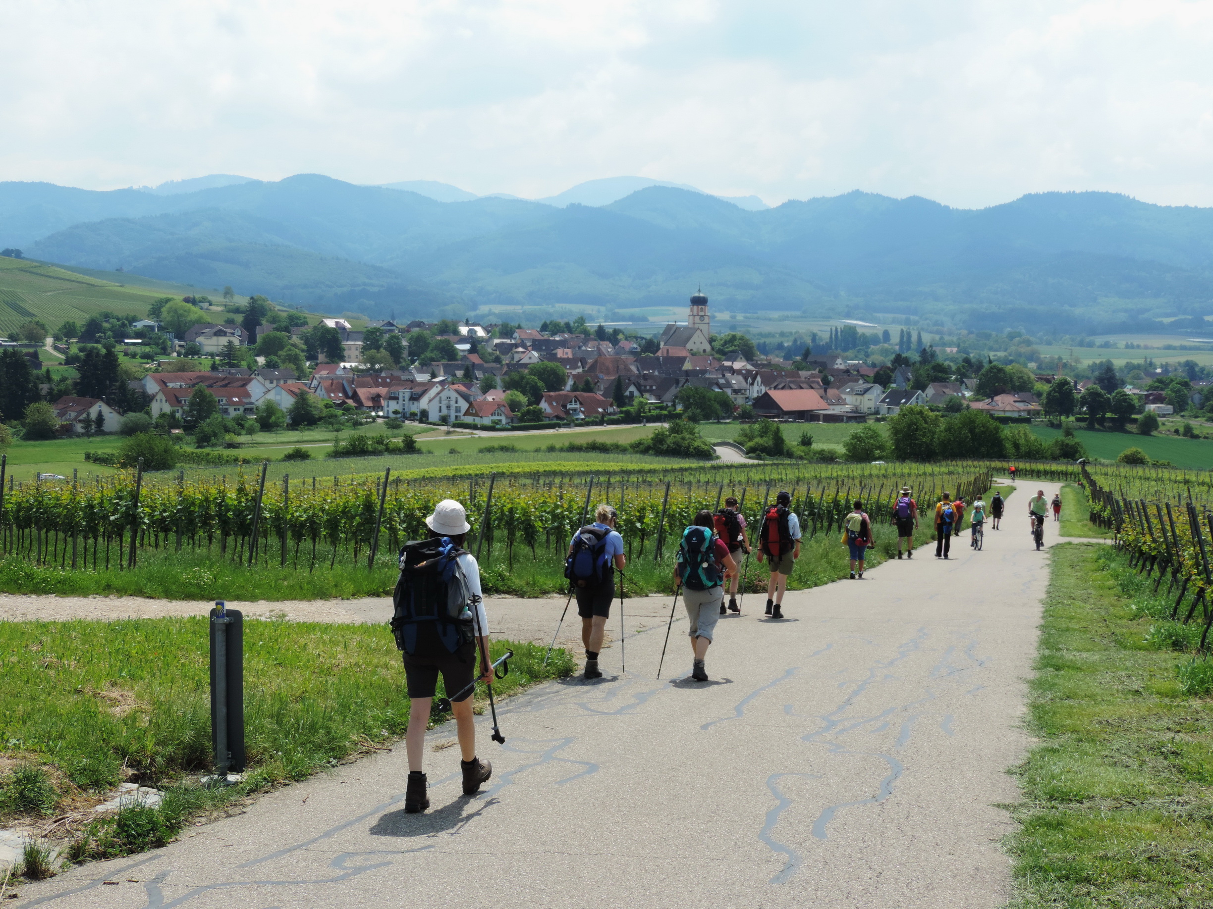170525072_B_Schwarzwald