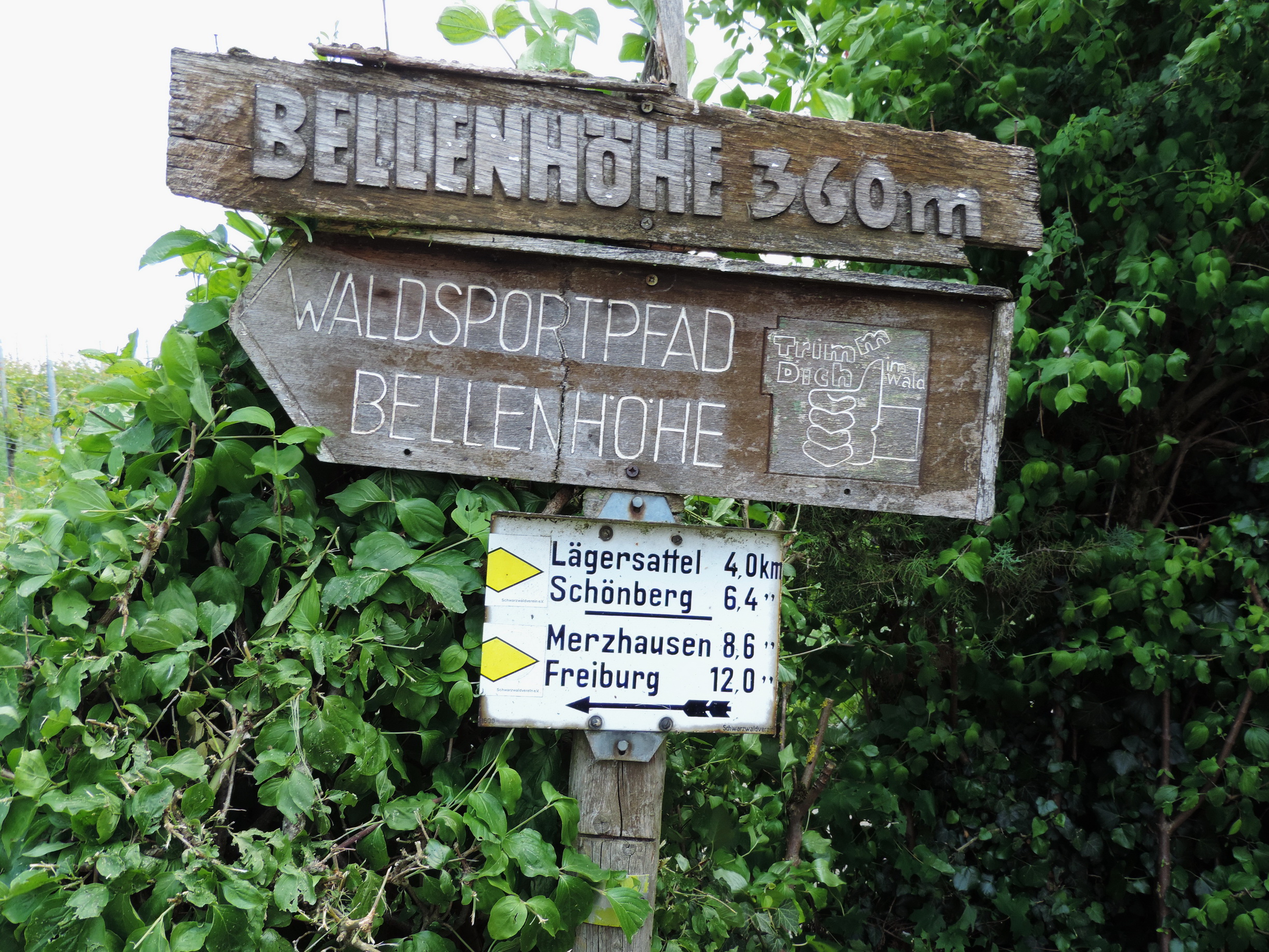 170525108_BSch_Bellenhoehe 360m