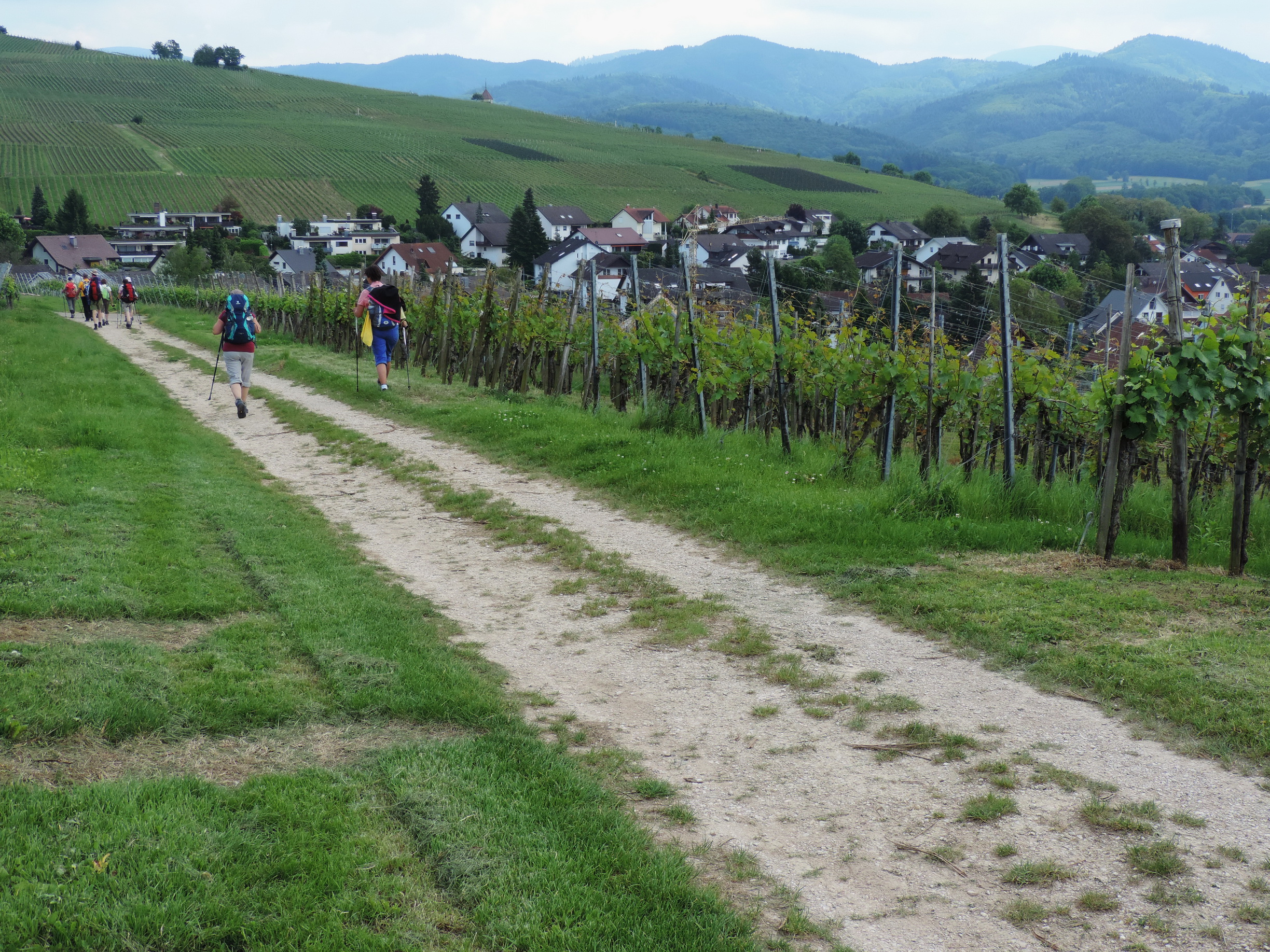 170525110_B_EhrenkirchenMuenstertal Belchen 1414m