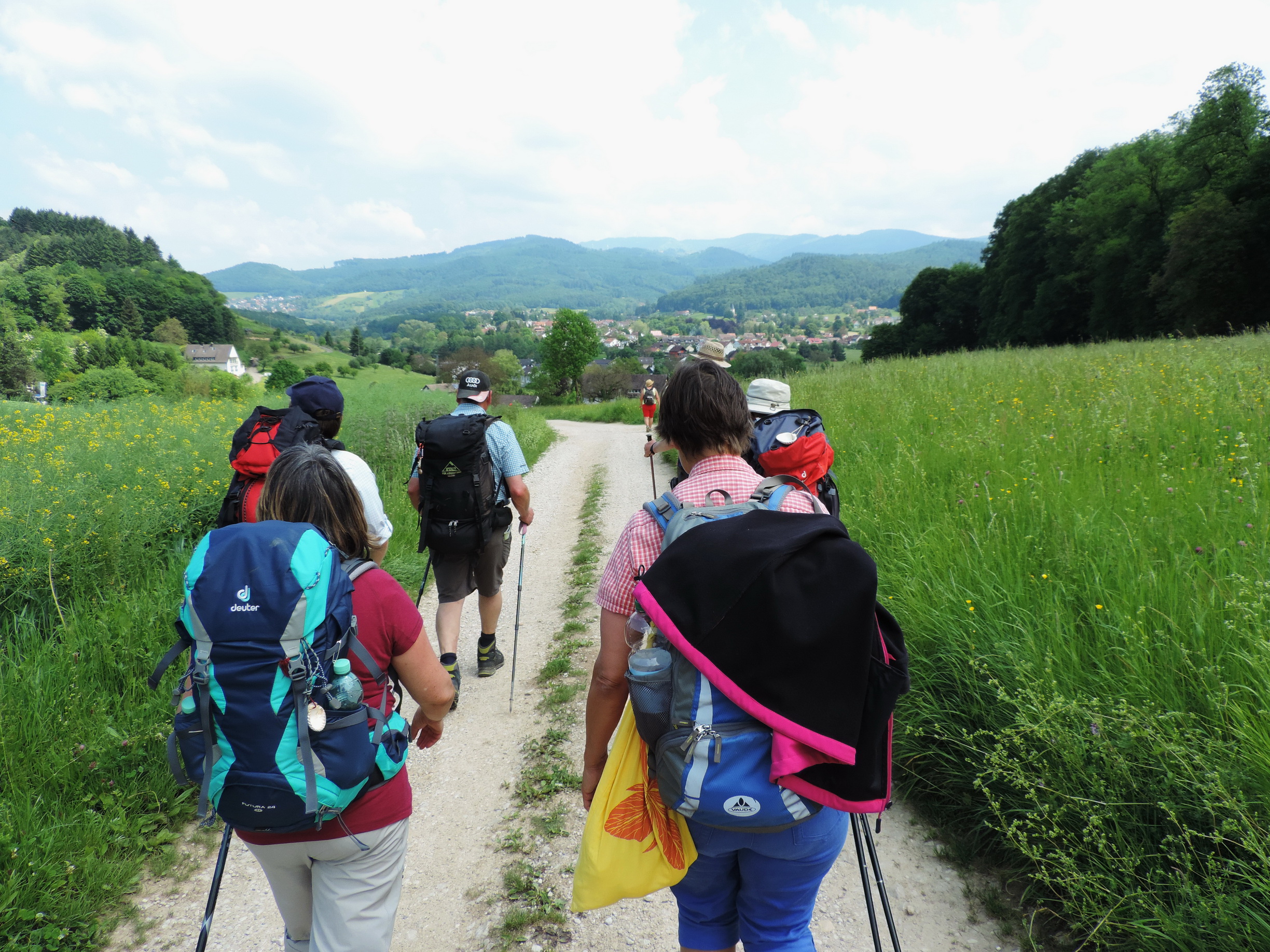 170525119_B_nach Bollschweil