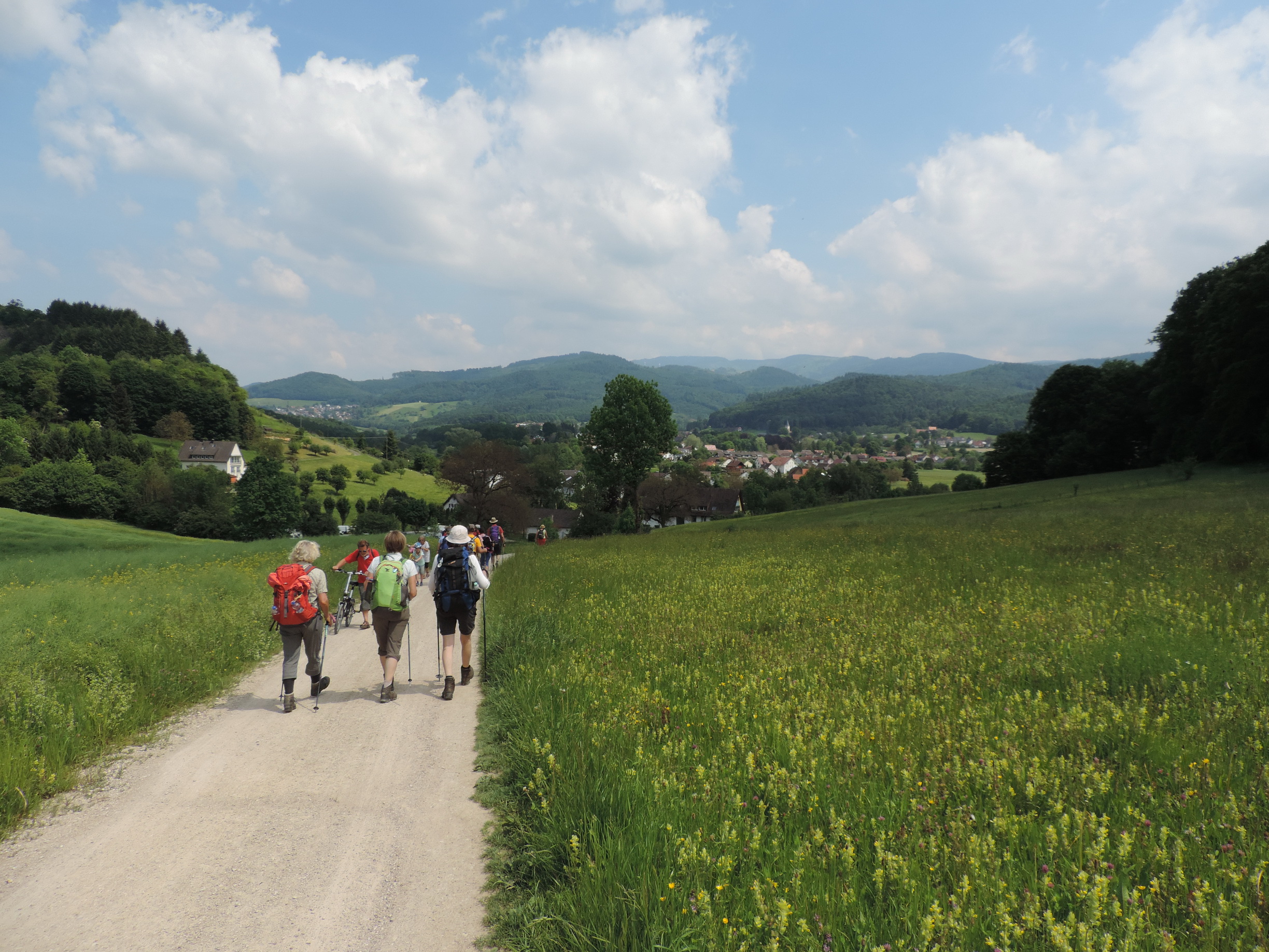 170525120_B_nach Bollschweil